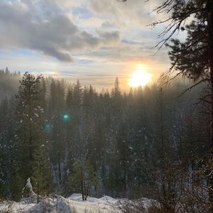 Meet your Posher, Ariel